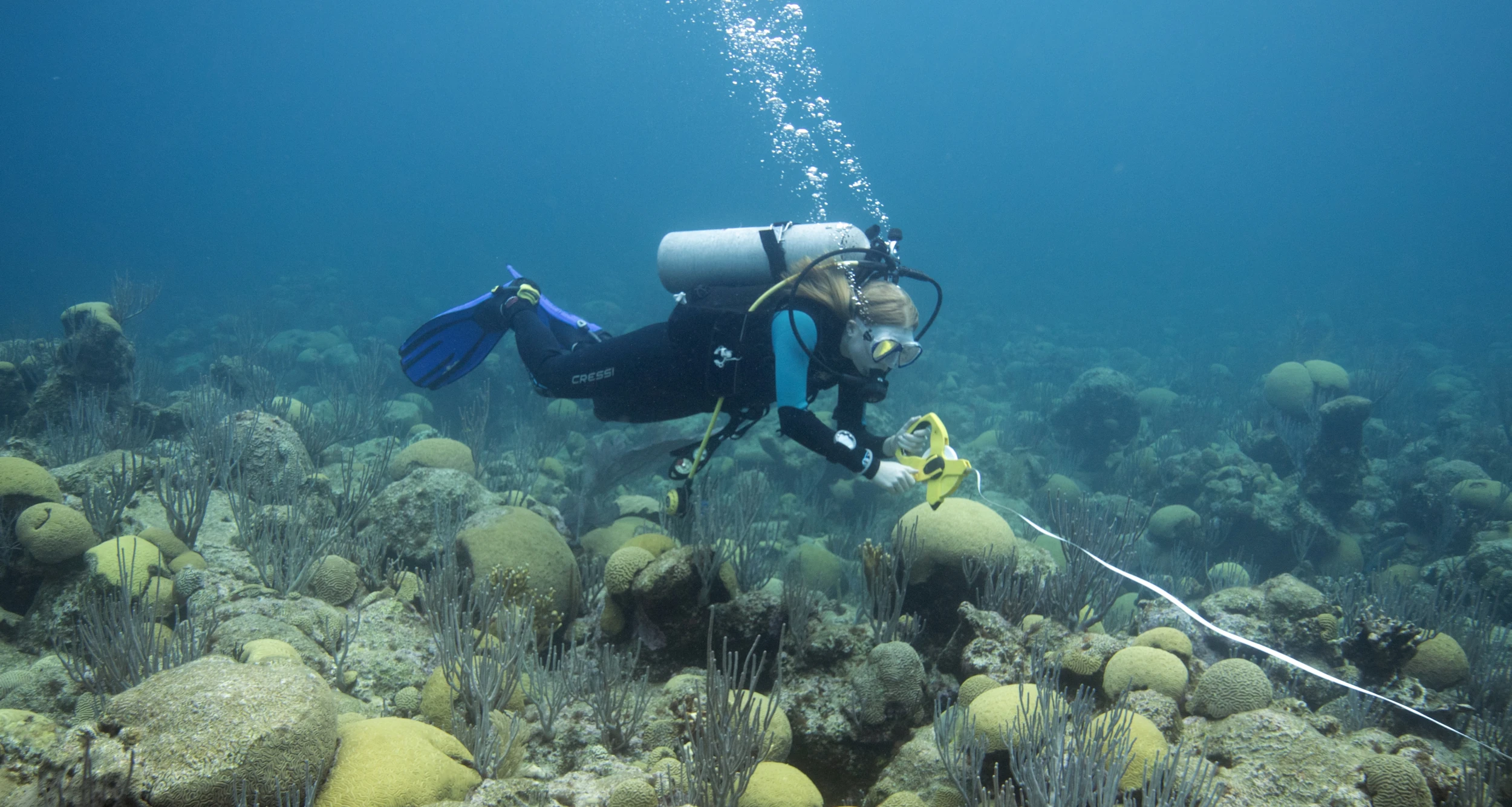 Alice rolling up a transect line while SCUBA diving