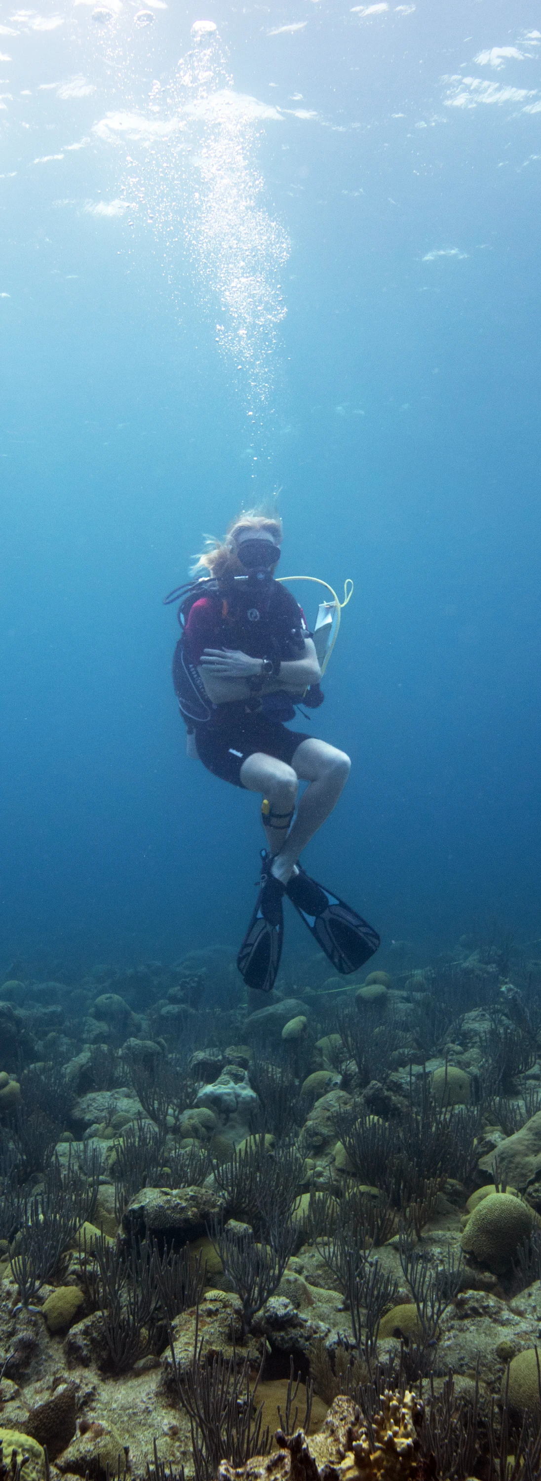 Orlando imitating a pelagic organism, floating upright while SCUBA diving