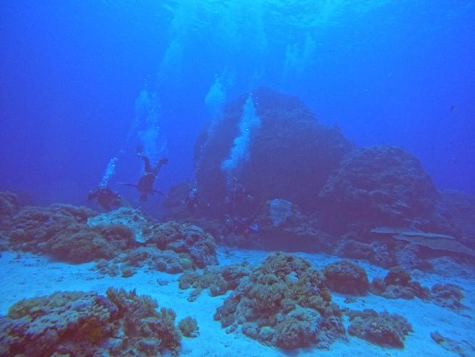 A group photo of divers underwater.